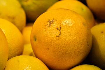 Bunch of fresh and big oranges fruit