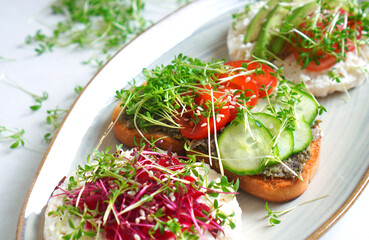 Plate with a vegan toasts made with microgreens