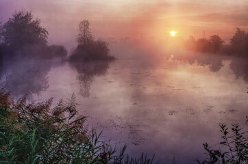 Sunrise is a great time to relax in nature for energy