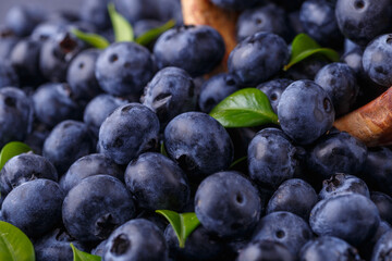Fresh blueberry background. Blueberry Texture Close Blueberry Antioxidant Organic Superpeed Bowl Concept Healthy Nutrition