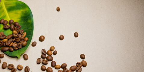 Large green-yellow leaf and coffee grains.