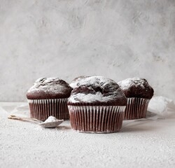Homemade chocolate cupcakes with powdered sugar on a gray background. Space for text