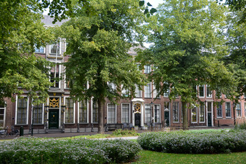 Typical house facades with big  trees in ZIERIKZEE, Netherlands