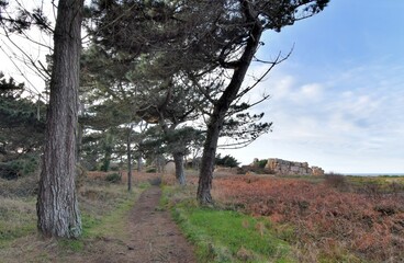 Beautiful view on the coast at Plougrescant in Brittany. France