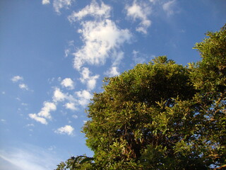 Céu ao entardecer