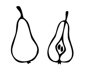 Vector illustration of hand drawn pear. Black contour isolated on white background