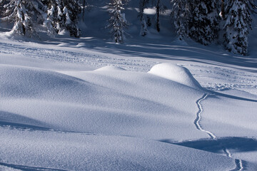 un bel paesaggio invernale, il bosco e le montagne coperte dalla neve, il manto di neve rende il...