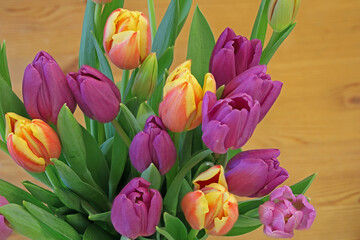 Obraz na płótnie Canvas colorful tulip flowers