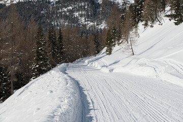 un bel paesaggio invernale, il bosco e le montagne coperte dalla neve, il manto di neve rende il...