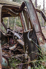 Old cars in wild nature on the car cemetery of Kyrkö Mosse in Sweden