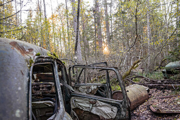 Old cars in wild nature on the car cemetery of Kyrkö Mosse in Sweden