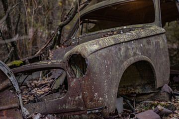 Old cars in wild nature on the car cemetery of Kyrkö Mosse in Sweden