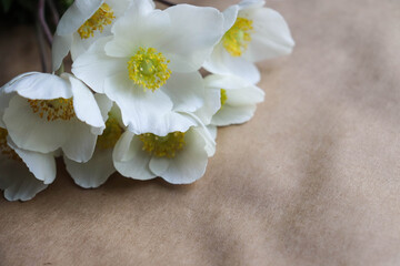 Obraz premium spring bouquet of white daffodils on craft background