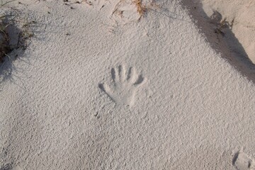 Handprint in white sand