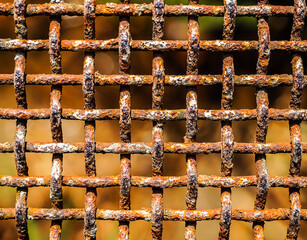 Rusty fence texture, colorful macro