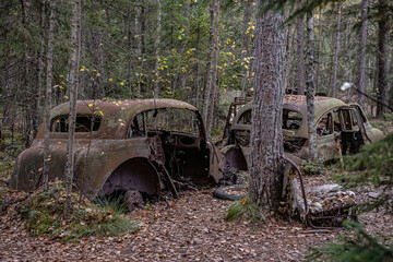 Old cars in wild nature on the car cemetery of Kyrkö Mossei in Sweden