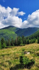 landscape in the mountains