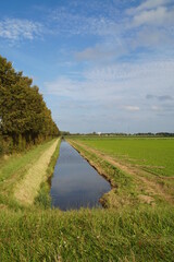 Fototapeta premium landscape with river and sky