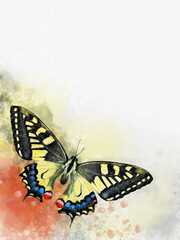 Fototapeta na wymiar Watercolor image of a butterfly on a vintage background. Butterfly close-up. Handmade illustration. Animal world of insects.