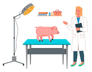 Veterinarian woman makes a pig inspection in the medical office. Doctor prescribes treatment to piggy, funny pink patient farm animal. Visit to the vet clinic to check the health of the animal
