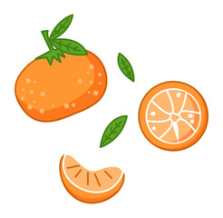 Fresh tangerines with green leaves vector illustration. Orange citrus fruit ripe mandarin on white background. Set with whole fruit and a half, a piece, juicy lobule. Vitamin organic tropical food