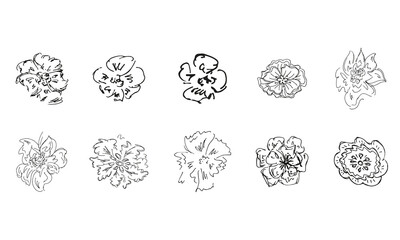 Doodle simple vector collection of 10 hand-drawn blossom wildflowers. Big collection of 10 hand-drawn roses. Big floral botanical set. Isolated on white background. - 407326739