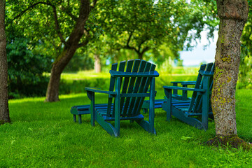 bench in the garden with old apple  trees in summertime