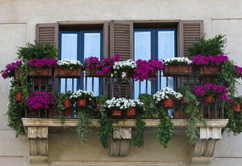 Fototapeta premium Windows among a decorated balcony of flowers