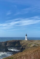Fototapeta na wymiar lighthouse on the coast, long shot with the ocean 