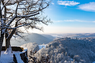 Schneebedeckte Wälder
