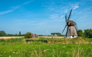 windmill
