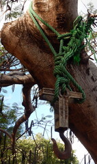 Costa Rica Pacific sea life underwater