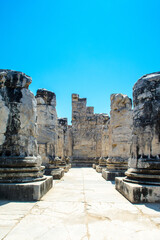 Ruins of the Temple of Apollo in Didim, Turkey