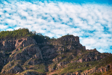 Mountain with pines with sky and clouds