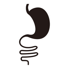 Stomach and intestine icon, digestive tract silhouette on white background