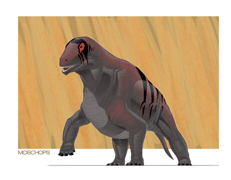 Moschops, an ancient Permian reptile