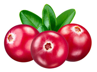 Cranberry isolated on white background