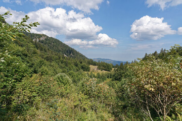Frankreich - Elsaß - Wanderweg zum Hohneck - Martinswand