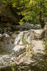 A fast mountain river flows on a sunny summer day (Central Macedonia, Greece)