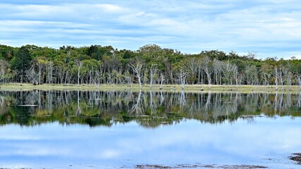Fototapeta premium 野付半島ナラワラの晩秋の情景＠根室、北海道