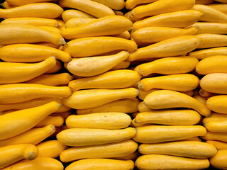 Large collection of yellow squash