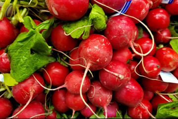radishes on the market