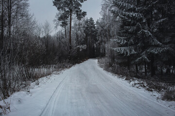 Obraz premium road in winter