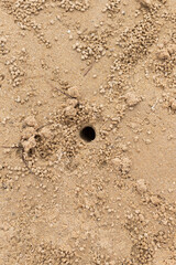 Crab hole closeup in the sand, Ria Formosa, Algarve, Portugal