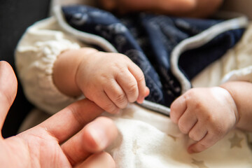 Fototapeta premium 大人の手を握る新生児の男の子の小さい手