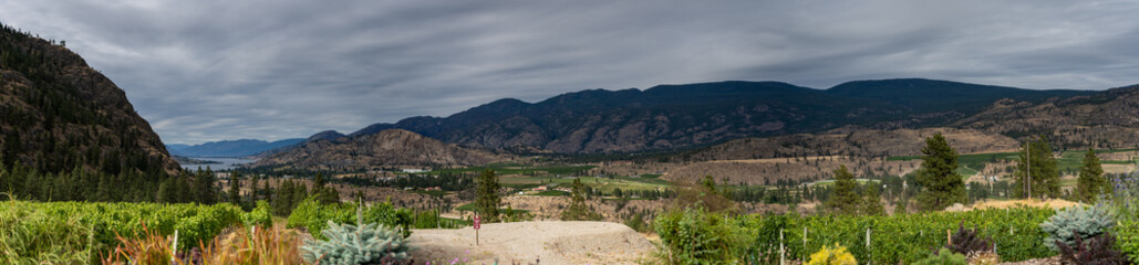 Fototapeta na wymiar winery view panorama of mountains