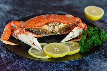 One boiled crab with lemon and parsley on a black plate.