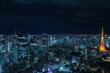 Fototapeta na wymiar view of the city Tokyo Japan