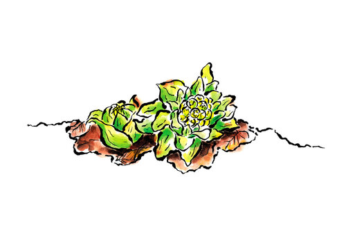 ふきのとう Images Browse 1 473 Stock Photos Vectors And Video Adobe Stock ふきのとう Images Browse 1 473 Stock Photos Vectors And Video Adobe Stock