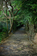 首里金城町石畳道